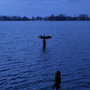 Frans 01 Abcoudermeer